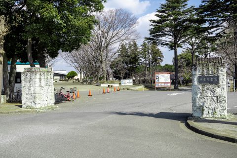 千葉市営桜木霊園